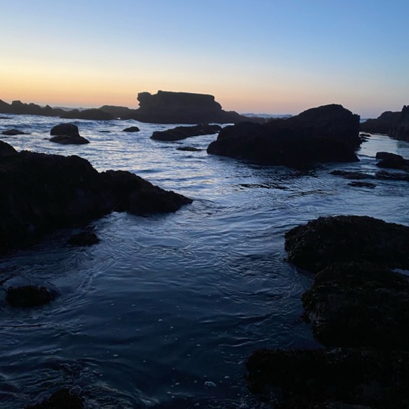 Meet your Posher, Lacy - Picture 2 of 2